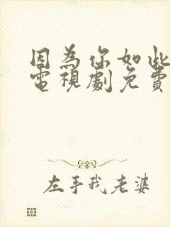 因为你如此耀眼电视剧免费观看全集封面