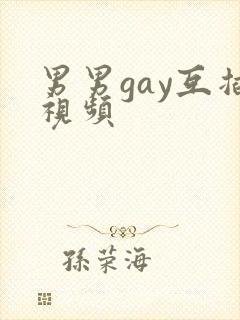 男男gay互插视频