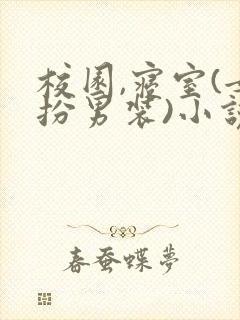 校园,寝室(女扮男装)小说