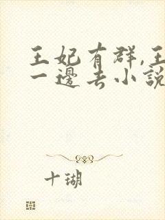 王妃有群,王爷一边去小说阅读封面