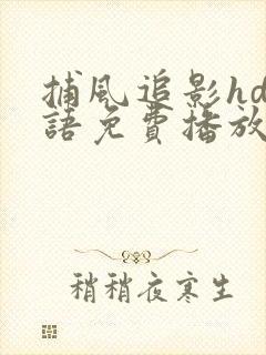 捕风追影hd国语免费播放封面