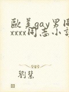 欧美gay男同xxxx同志小说封面