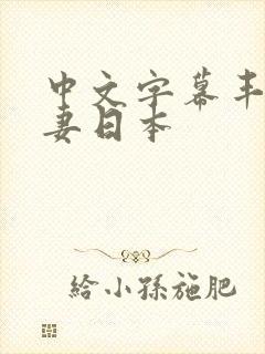 中文字幕丰满人妻日本封面