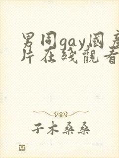 男同gay国产片在线观看网站封面