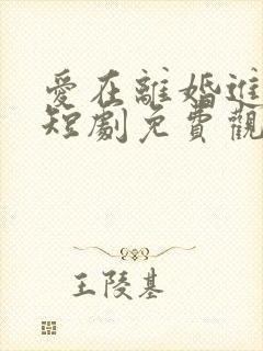 爱在离婚进行时短剧免费观看全集
