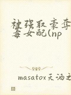 被强取豪夺的恶毒女配(np