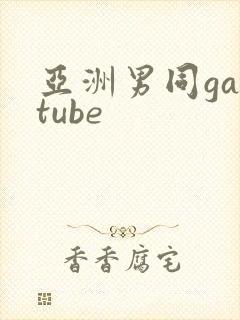 亚洲男同gaytube