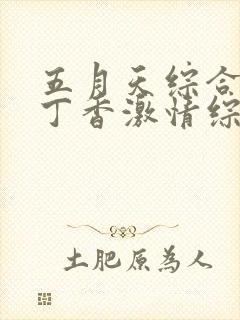 五月天综合婷婷丁香激情综合婷婷丁香