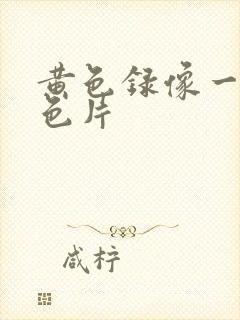 黄色录像一级黄色片