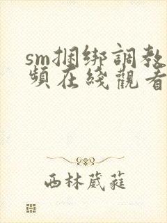 sm捆绑调教视频在线观看一区