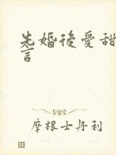 先婚后爱甜宠现言