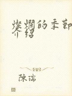 灿烂的季节剧情介绍封面