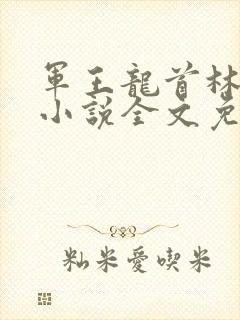 军王龙首林策的小说全文免费阅读