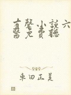 有声小说六指诡医免费听