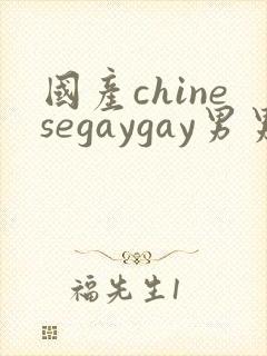 国产chinesegaygay男男网站