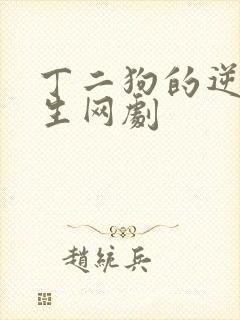 丁二狗的逆袭人生网剧