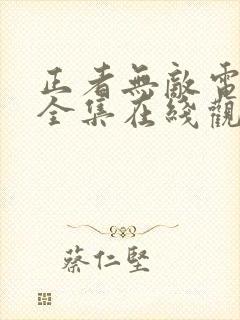 正者无敌电视剧全集在线观看免费