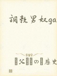 调教男奴gay