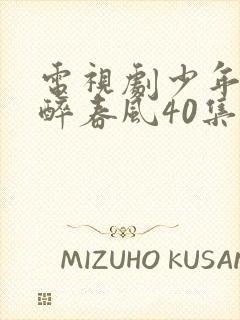 电视剧少年白马醉春风40集全
