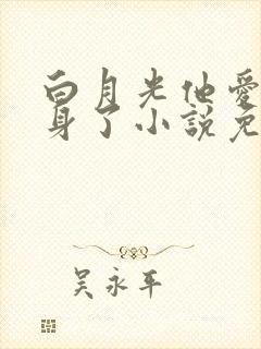 白月光他爱上替身了小说免费阅读封面