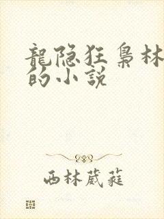 龙隐狂枭林安澜的小说