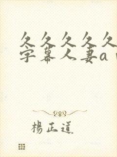 久久久久久中文字幕人妻aⅴ