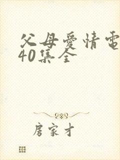 父母爱情电视剧40集全