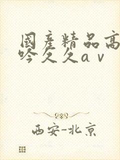国产精品高潮呻吟久久aⅴ