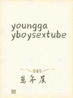 younggayboysextube