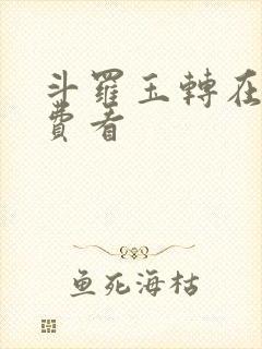 斗罗玉转在线免费看封面