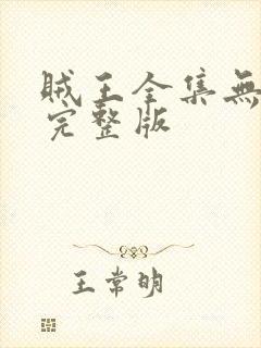 贼王全集无删减完整版