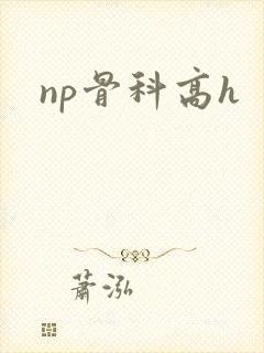 np骨科高h