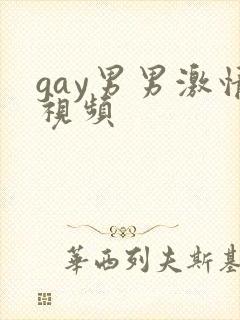 gay男男激情视频