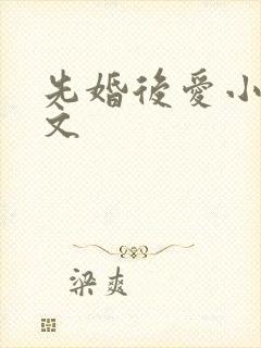 先婚后爱小说甜文