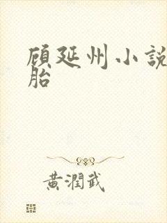 顾延州小说三胞胎