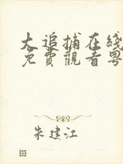 大追捕在线完整免费观看粤语