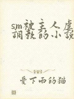 sm被主人虐玩调教的小说封面