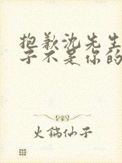 抱歉沈先生,孩子不是你的免费观看短剧
