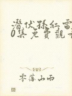 潜伏孙红雷全30集免费观看