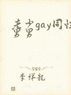 老少gay同性男男