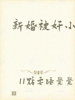 新婚被奸小说