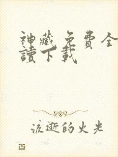 神藏免费全文阅读下载