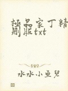 极品家丁精校无删版txt