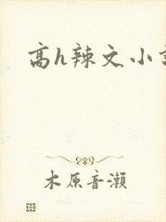 高h辣文小说封面