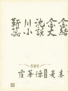 靳川沈念念孟娇蕊小说大结局封面