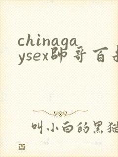 chinagaysex帅哥百叔封面