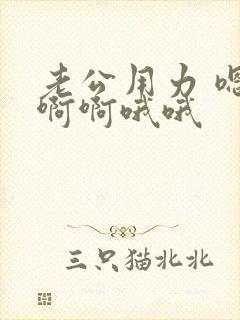 老公用力 嗯嗯啊啊哦哦封面