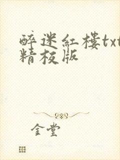 醉迷红楼txt精校版封面