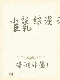 小说 综漫 淫 巨乳