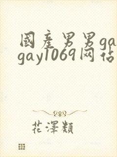 国产男男gaygay1069网站